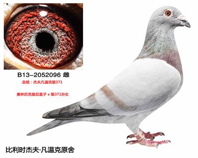 【杰夫.凡温克】