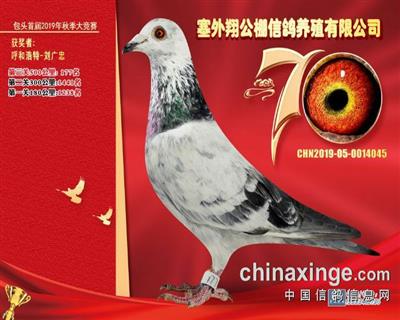 内蒙公棚决赛177