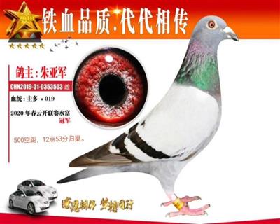 输出重庆500公里冠军2、两会联翔冠军