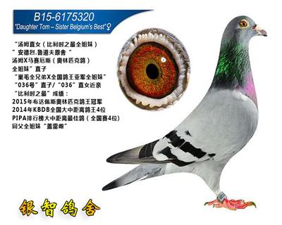 汤姆直女，只供欣赏，不出售