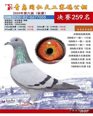 2020年秋山东同仁天工公棚决赛259名