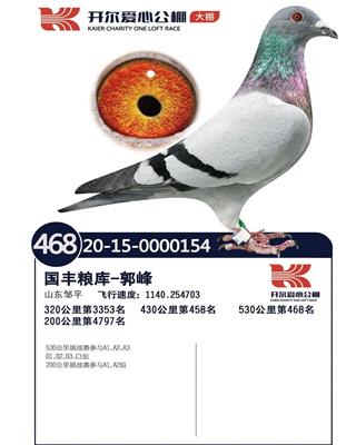 2020年秋开尔爱心公棚大棚决赛468名