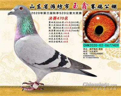 2020年秋山东玉鑫公棚决赛470名