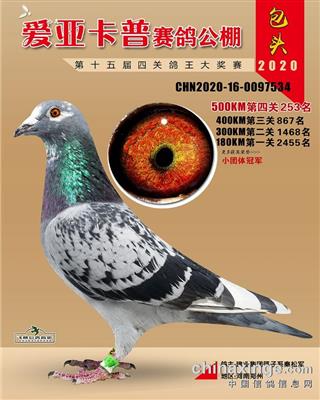 包头爱亚卡普决赛253名