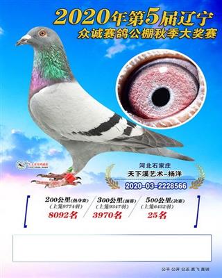 众诚公棚决赛25名