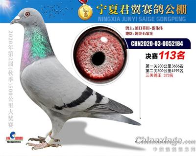 宁夏君翼公棚决赛113名