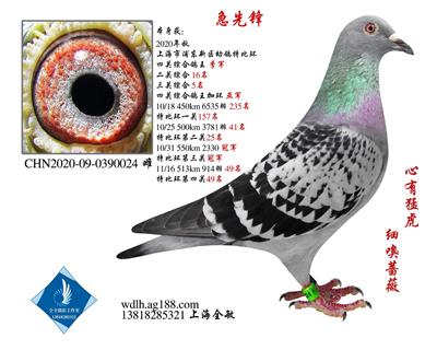 四关综合季军急先锋 已转