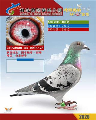 2020年秋海逸德翔公棚决赛465名