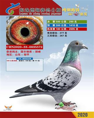 2020年秋海逸德翔公棚决赛290名