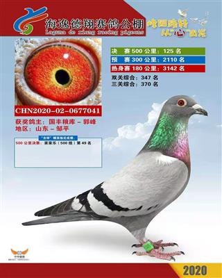 2020年秋海逸德翔公棚决赛125名