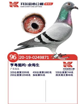 【开尔决赛744名、加强赛96名】已拍卖