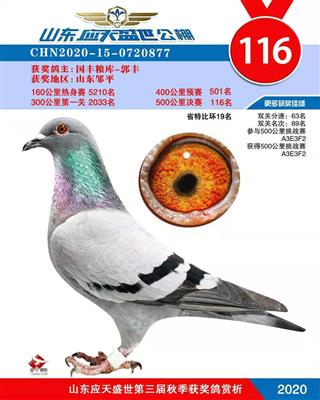 2020年秋山东应天盛世公棚决赛116名