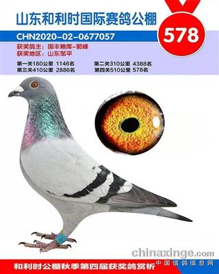 2020年秋山东和利时公棚决赛578名