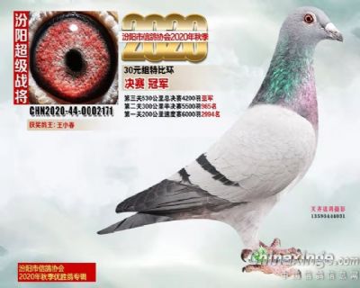 特比冠军：普赛亚军：