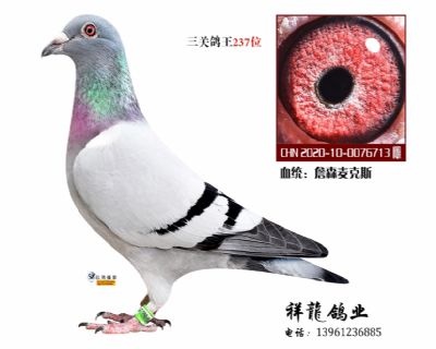 詹森麦克斯近亲