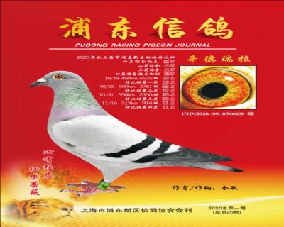 四关综合冠军辛德瑞拉