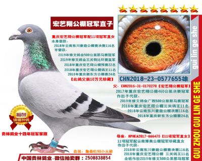 18-0577655（豪庭11名）