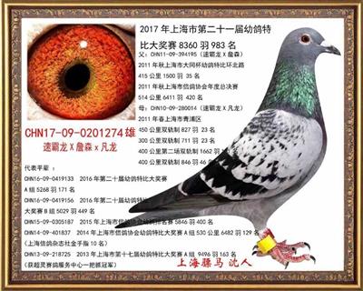 骠马1274