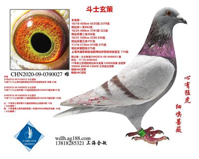 斗士玄策。已转