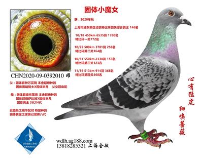 固体小魔女。已转