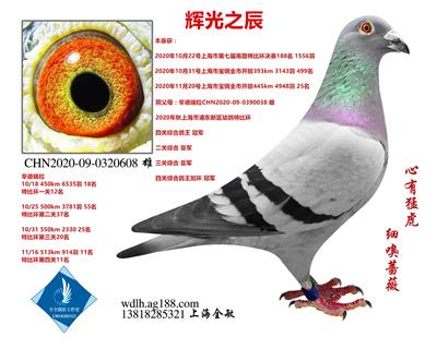 辉光之辰   已转