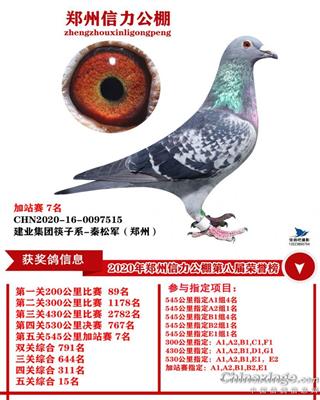 郑州信力公棚加站赛赛7名