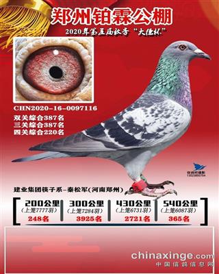 郑州铂霖公棚决赛365名