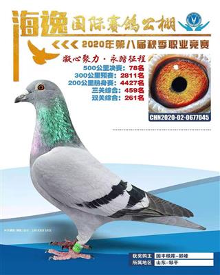 2020年秋海逸公棚决赛78名