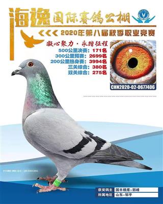 2020年秋海逸公棚决赛171名