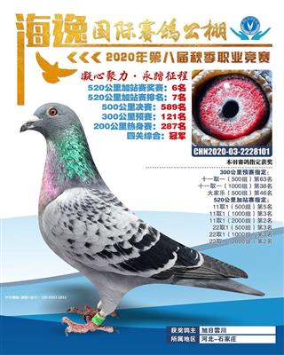 海逸公棚加站赛6名四关鸽王冠军