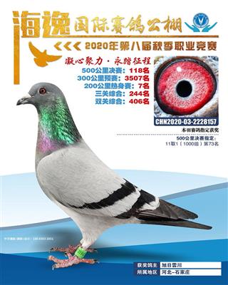 海逸公棚决赛118名一关7名