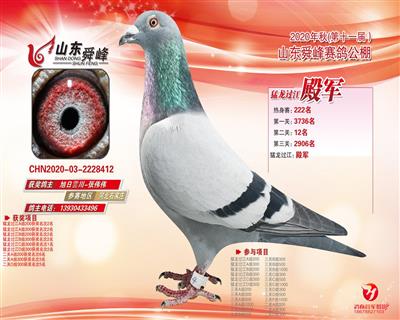 舜峰加站赛殿军预赛125名