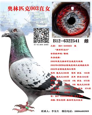 奥林匹克003直女