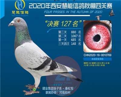 西安威力慧能公棚决赛127名