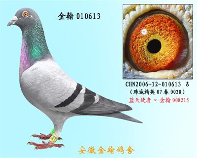 勃默德010613