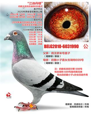 奶酪699直子（非卖品）