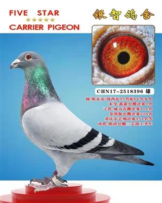 杨.欧瓦克，供欣赏，不出售