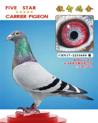 杨欧.瓦克，仅供欣赏