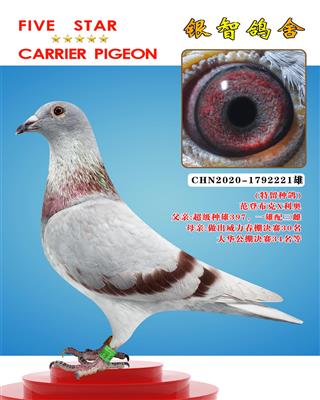 “好红全弟9992”Ⅹ40000（近亲）