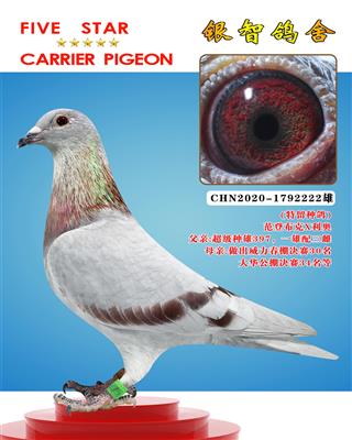 “好红全弟9992”Ⅹ40000（近亲）