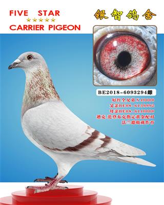 “好红全弟9992”Ⅹ40000（近亲）