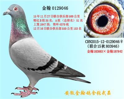 勃默德配詹森邦德007  0129046