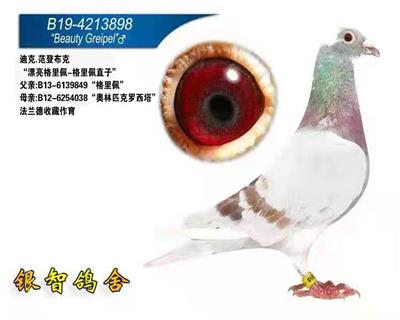 “格里佩”直子