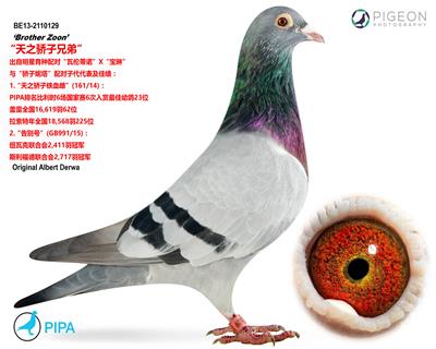 【天之骄子*全兄弟】