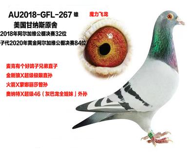 阿尔加维公棚决赛32名