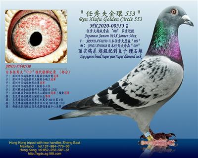 任秀夫/詹森019、