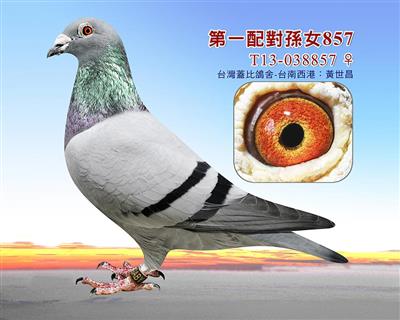 盖比第一配對近孫女