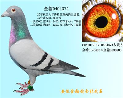勃默德0404374