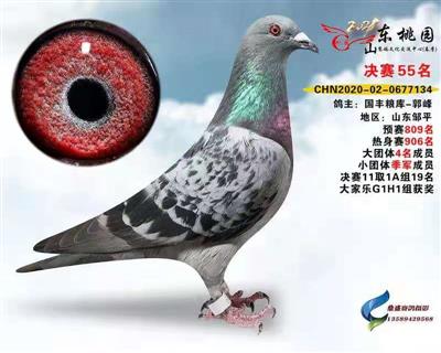 2021年春山东桃园公棚决赛55名