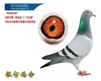 178直孙：统治者女郎，供欣赏